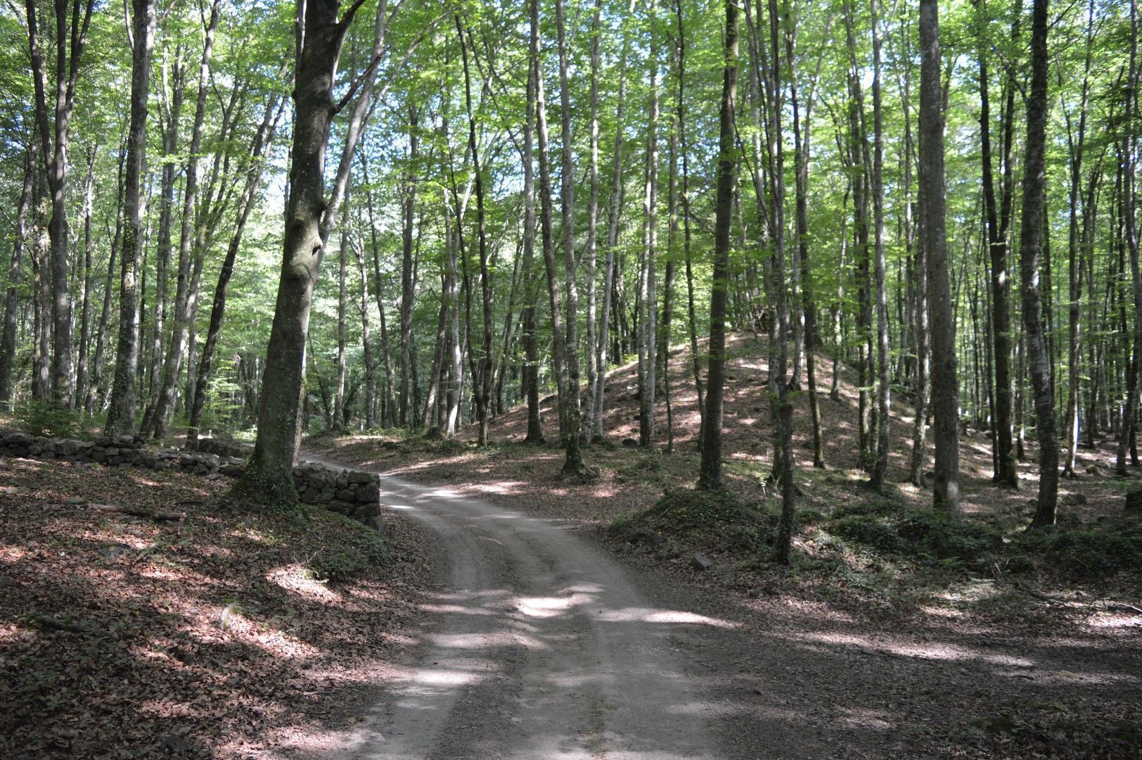 projecte la Garrotxa Terra de Volcans 2,6 milions euros.
