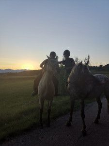 ruta a cavall pels volcans de la garrotxa