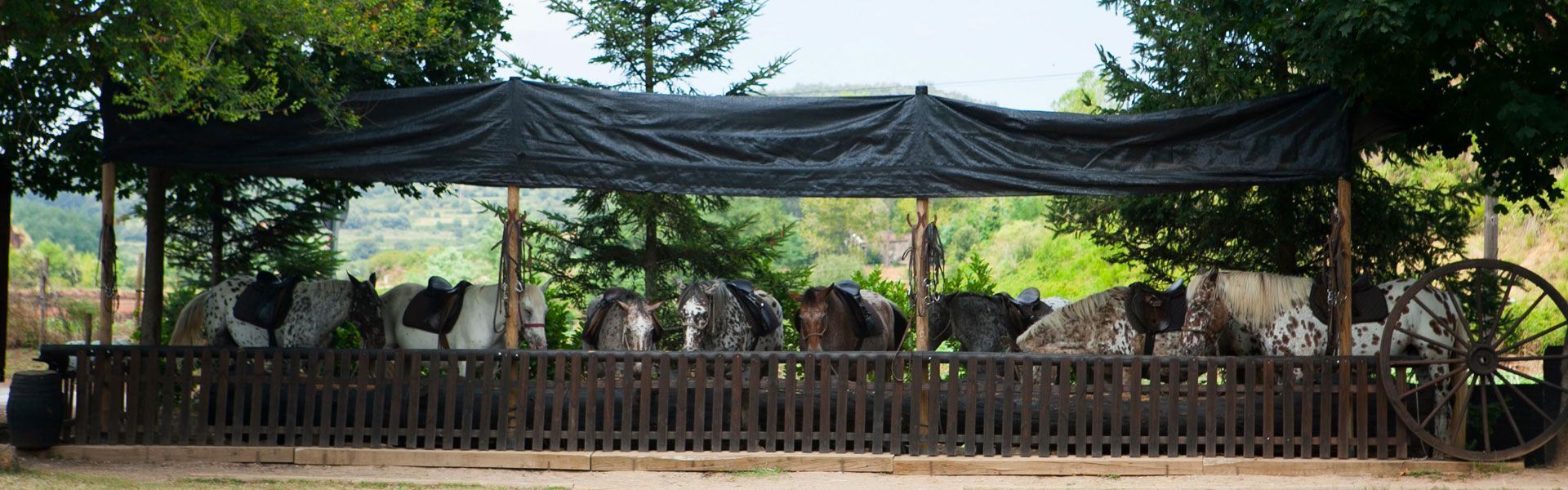 Activitats-garrotxa-camping-ecologic-lava-granja-11-home (1)