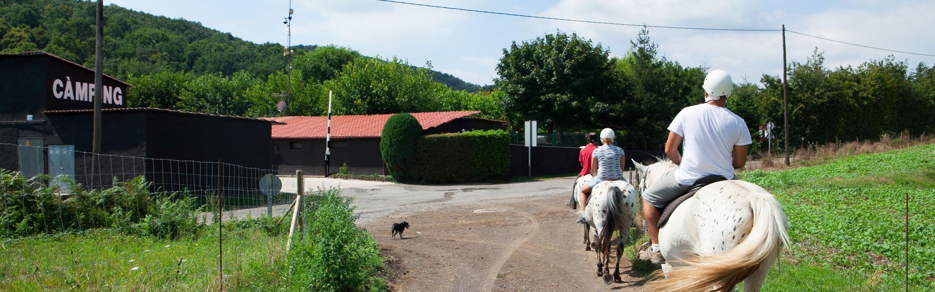 Activitats-garrotxa-camping-ecologic-lava-passejades-a-cavall-2